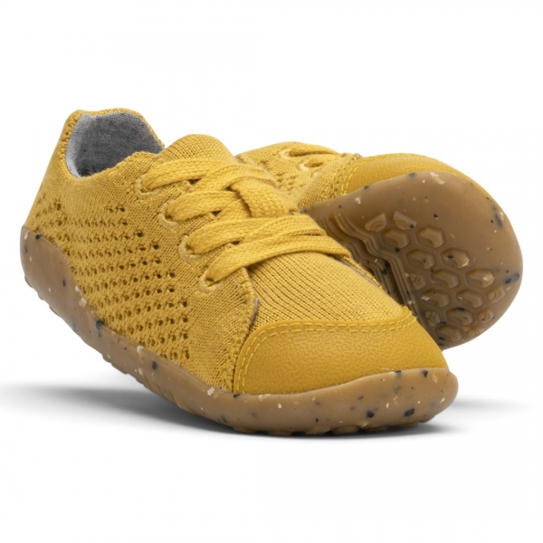 iWalk (No: 23-26) Seedling Turmeric B
