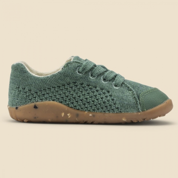 iWalk (No 23-26)  Seedling Merino Fern
