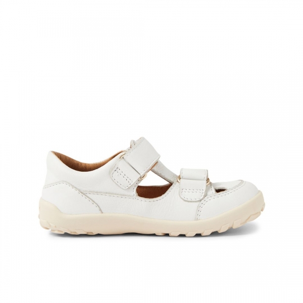 Step up (No: 18-22)  Troop White