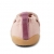 Step Up Cosy Kitty-Bq Rose Smoke