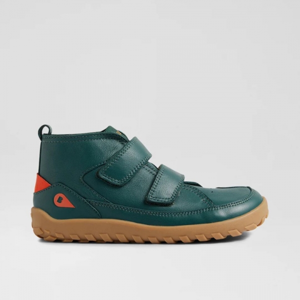 Kid+ (Νο:27-33) Trek- Rainforest